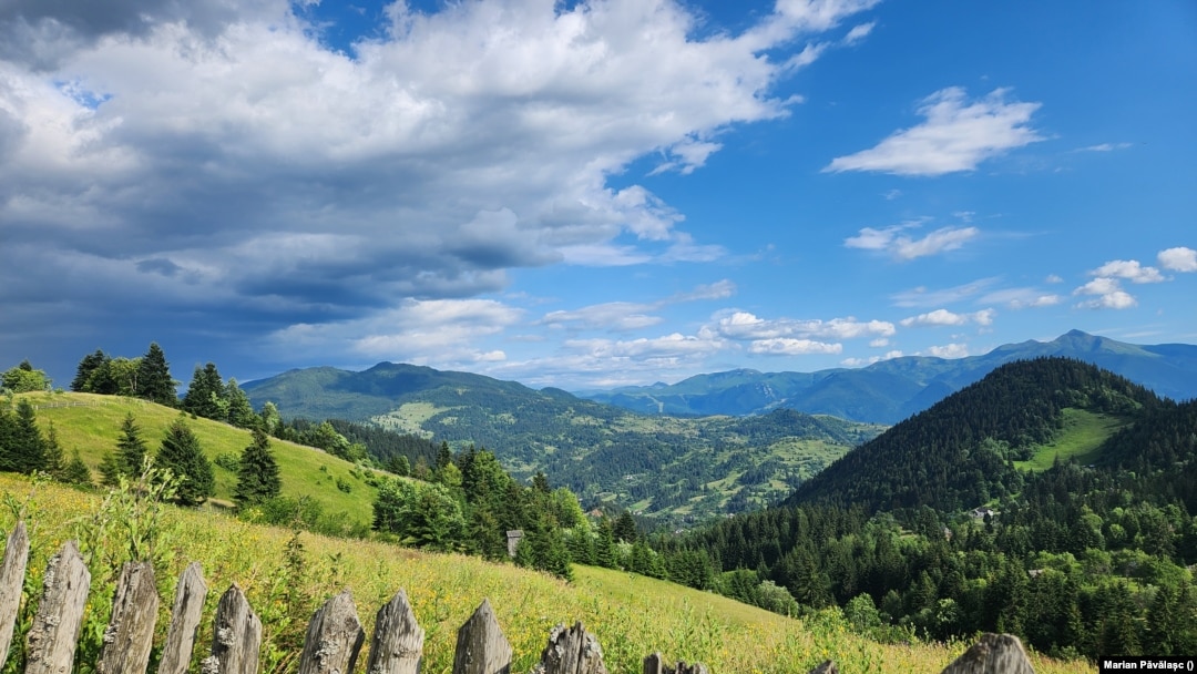 „Frontiera verde” cu Ucraina din nordul României este scena celor mai multe treceri ilegale de frontieră, de la începutul invaziei rusești. 