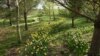 Ukraine -- Dobropark