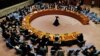 Посол України в ООН Сергій Кислиця назвав проєкт «цинічним»