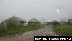 Мурас-Ордо жаңы конушу 