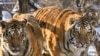 16x9 Image