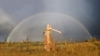 Вынікі чацьвёртага тыдня фотаконкурсу «Незалежнасьць — гэта...»