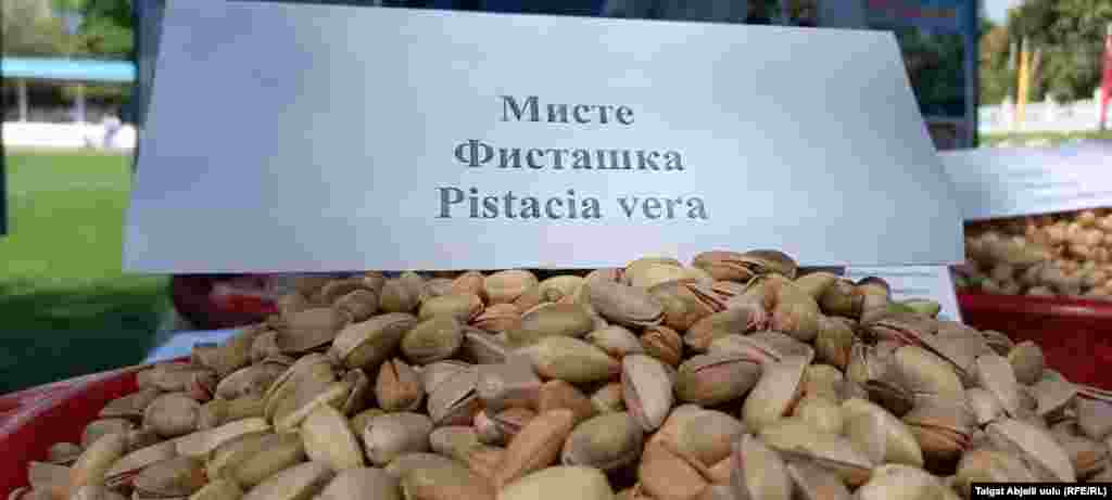 Мисте