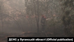 Синоптики попереджають про небезпеку лісових пожеж