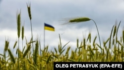 Ольга Стефанішина заявила, що їй шкода, що цей процес став «предметом політичних маніпуляцій і спекуляцій»