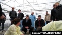სასათბურე მოურნეობის გახსნა მეჯვრისხევში