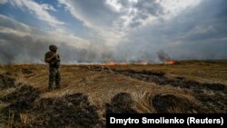 Украинский военный на горящем пшеничном поле у линии фронта на границе Запорожской и Донецкой областей, 17 июля 2022 г.