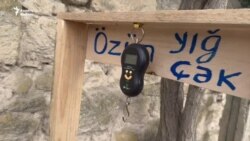 'Bizdə də Avropadakı kimi olsun' - Satdığı narla sosial mediada məşhurlaşan kəndli