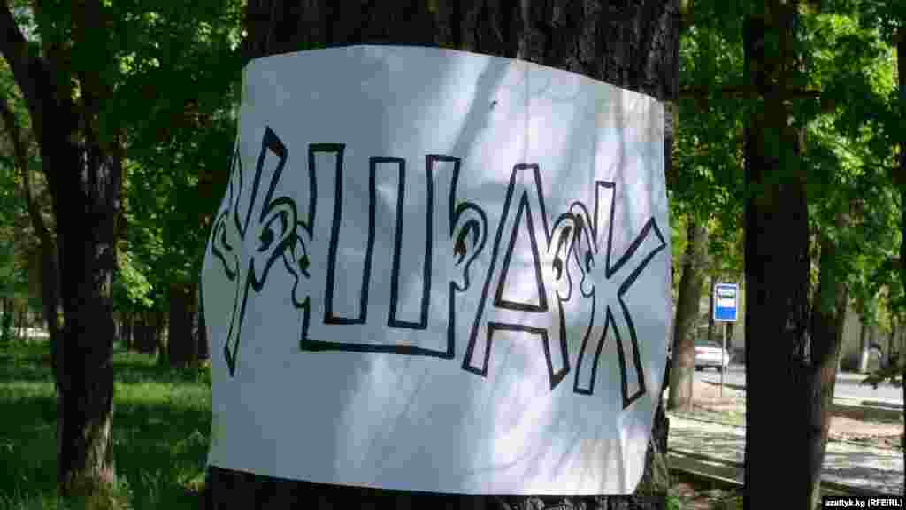 Уюштуруучулар алгач аллеядагы бактарга өрдөктүн, кумалактын сүрөттөрүн илип чыгышты. Сценарий боюнча аллеяны журналистика мейкиндиги деп, андагы сүрөттөр журналистикадагы терс көрүнүштөр катары каралган. 