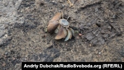 Згідно з повідомленням, обстріл відбувся на луганському напрямку біля Новозванівки Попаснянського району (фото архівне)