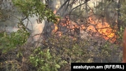 Հրդեհ Բյուրականի անտառներում