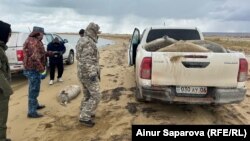 Gazagystanyň Tüpkaragan etrabynyň Hazar deňziniň kenaryndan Žaýyk-Hazar sebitara basseýniniň balyk hojalygy müdirliginiň işgärleri düwlen jesetlerini ýygnaýarlar. Mangystau oblasty, 6-njy noýabr, 2024
