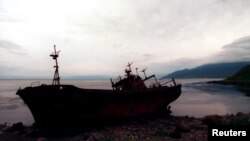 Курил аралы