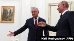 Ռուսաստանի նախագահ Վլադիմիր Պուտինը Կրեմլում ընդունում է Մոլդովայի նախագահ Իգոր Դոդոնին, Մոսկվա, 7-ը սեպտեմբերի, 2019թ․