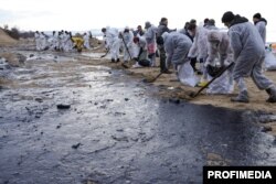 Voluntarii curăță păcura de pe o plajă din apropierea stațiunii Anapa, 25 decembrie.
