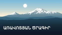 Կարապետյան.«Արտգործնախարարի մասնակցությունը Էրդողանի երդմնակալությանը որևէ հիմք չունի և դրական զարգացում չի ապահովելու»