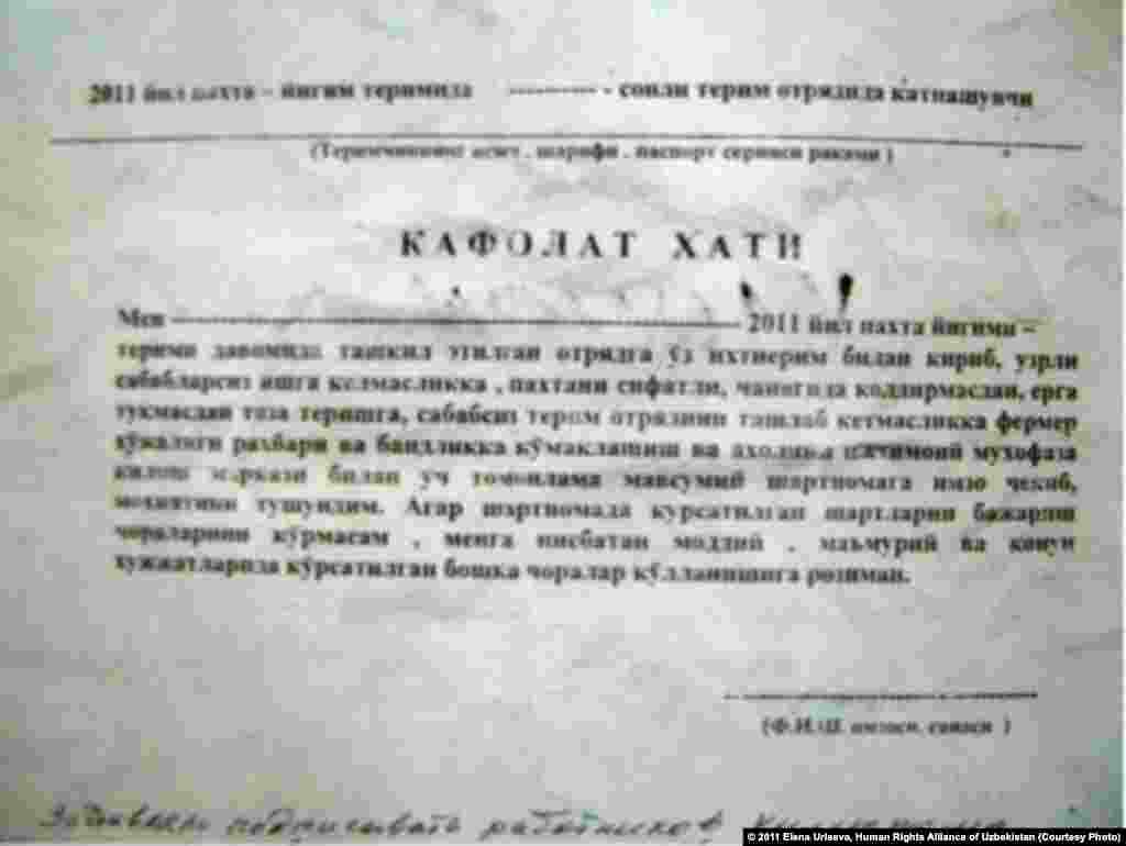 2011 йилги пахта йиғим-теримидан кафолат хати.