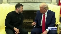 Вэнс считает, что Зеленский не благодарен американцам