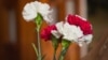 Image result for Коктыш